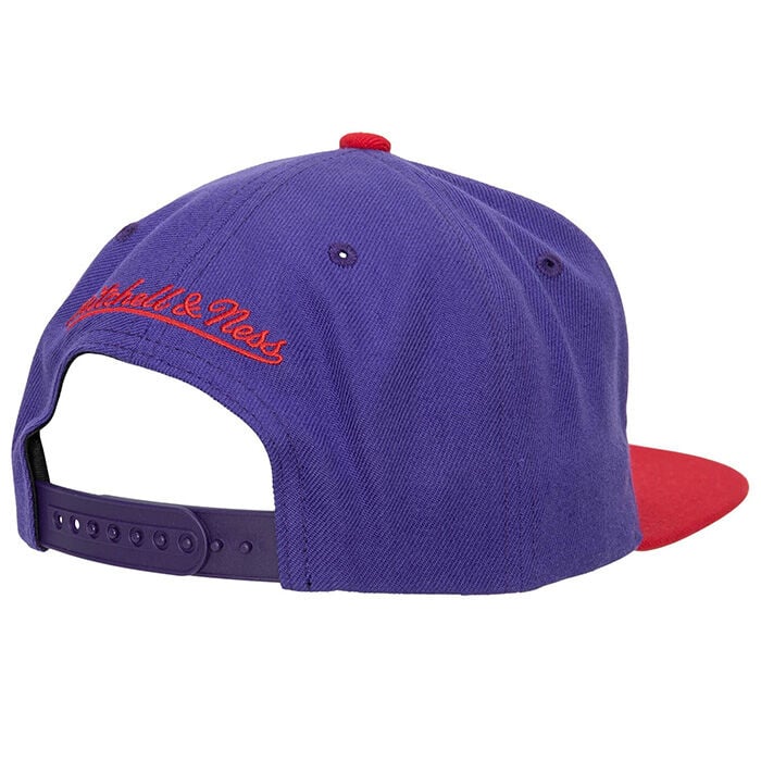 Toronto Raptors Snapback
